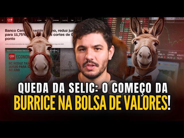 Taxa SELIC em queda: Começou a burrice na bolsa!