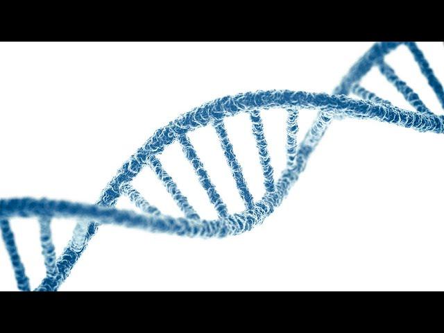 思维漫游27（生命就是DNA，但DNA是如何起源的？）