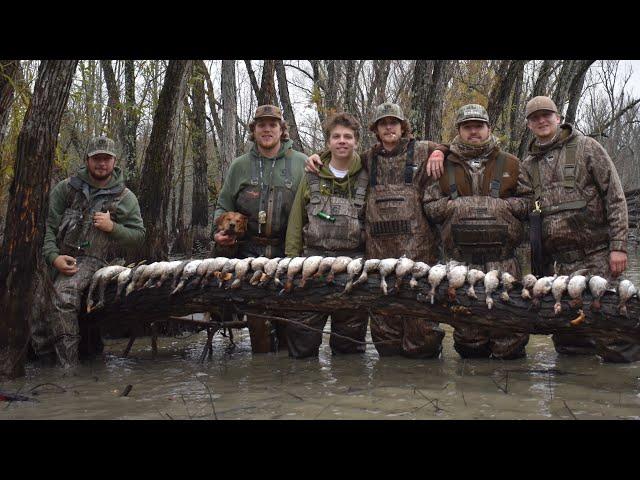 Early Season Teal Beatdown… 6 LIMITS BY 8:40!