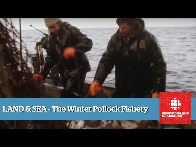 Land & Sea - The Pollock Fishery - Full Episode