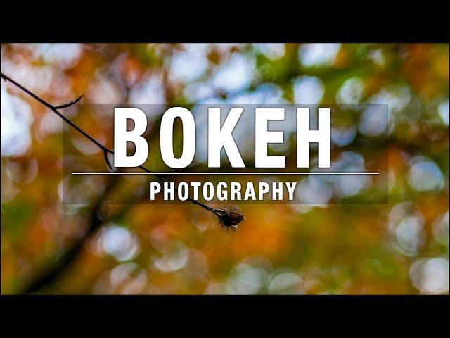 Bokeh Photography – The Easy Way