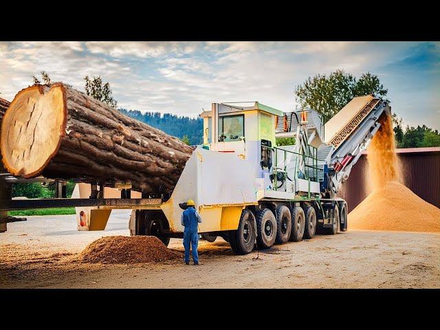 Incredible Dangerous Wood Chipper Machines Working, Extreme Crazy Tree Shredder Machines