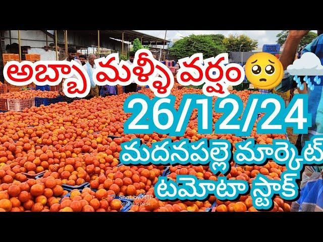 26-12-24 Madanapalle Tomato Market price Today || Today Tomato Market Rate in Madanapalle #today