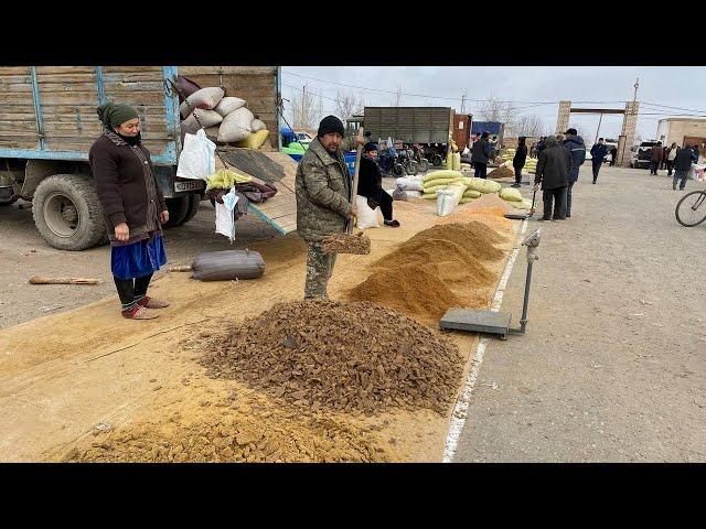 хоразм кушкупир кум бозор ем хашак нархлари 22.02.2024.