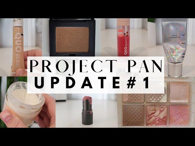 The first project pan update of the year //  january project pan update // project pan update #1