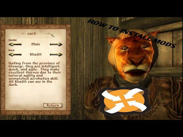 HOW TO INSTALL OBLIVION MODS