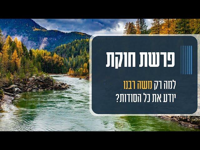 פרשת חוקת | הסוד הנפלא של הפרה האדומה שכל כך רלוונטי לתקופה שלנו 