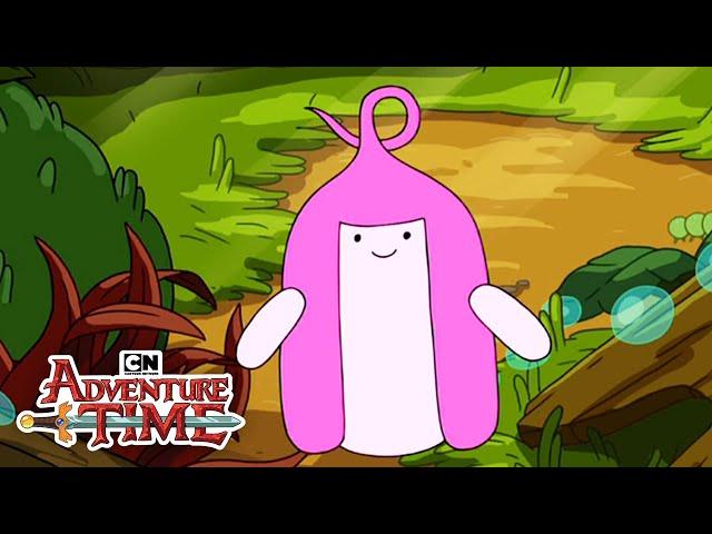 PB's Origin | Adventure Time | Cartoon Network