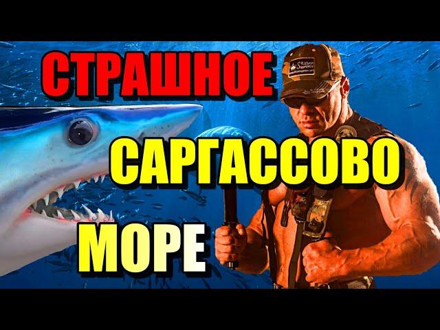 СТРАШНОЕ САРГАССОВО МОРЕ!!! МОРЕ БЕЗ БЕРЕГОВ!! #море #океан