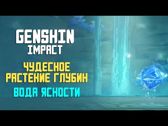 ЧУДЕСНОЕ РАСТЕНИЕ ГЛУБИН | ГДЕ НАЙТИ ВОДА ЯСНОСТИ | GENSHIN IMPACT