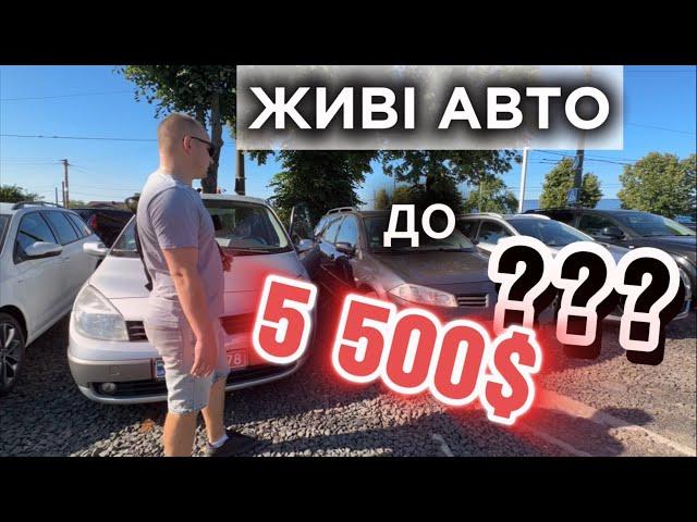 Авторинок Луцьк//Ціни на БЮДЖЕТНІ авто до 5 500$#автопідбір