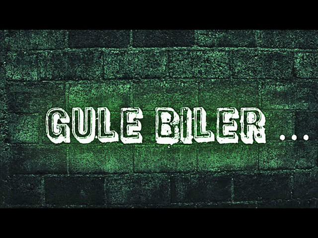 Rza Sade ft Eli Huseynov - Gule Biler (ORGINAL REMIX)