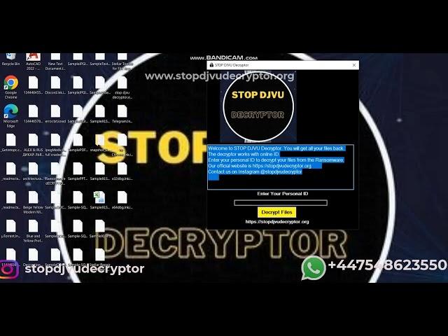 IOWD Files Decryption and Ransomware Removal Guide    IOWD Ransomware Virus  STOP DJVU Decryptor