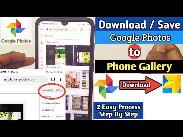 How to Download Google Photos to Phone Gallery in 2024