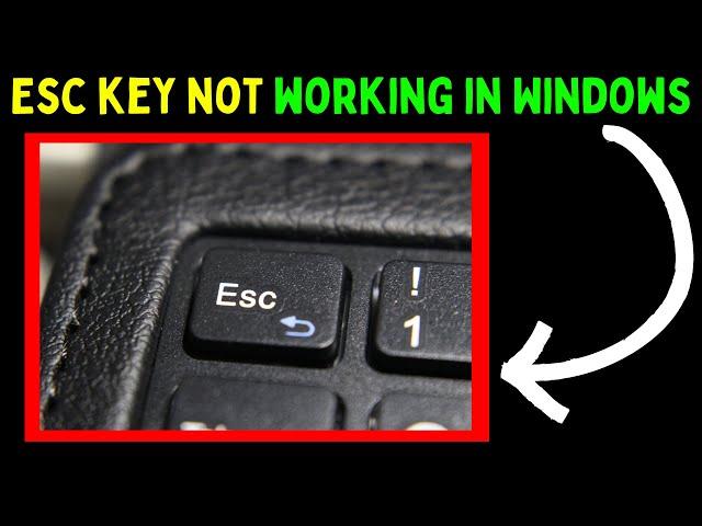 How to Fix Esc Key Not Working in Windows 11