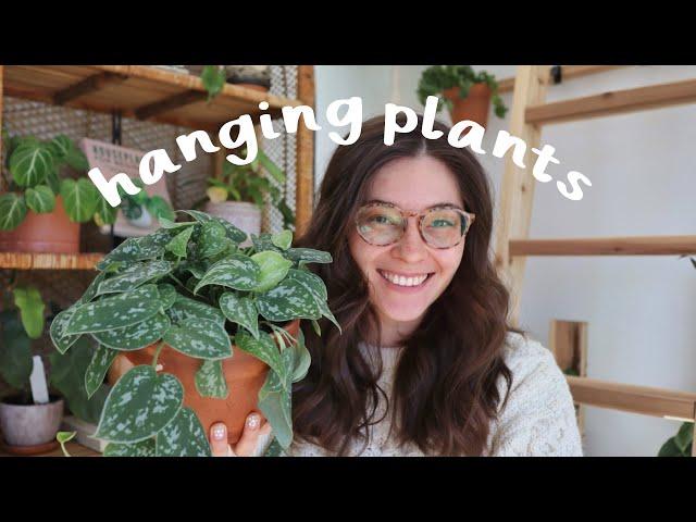 My Favorite Trailing Plants | favorite hanging plants