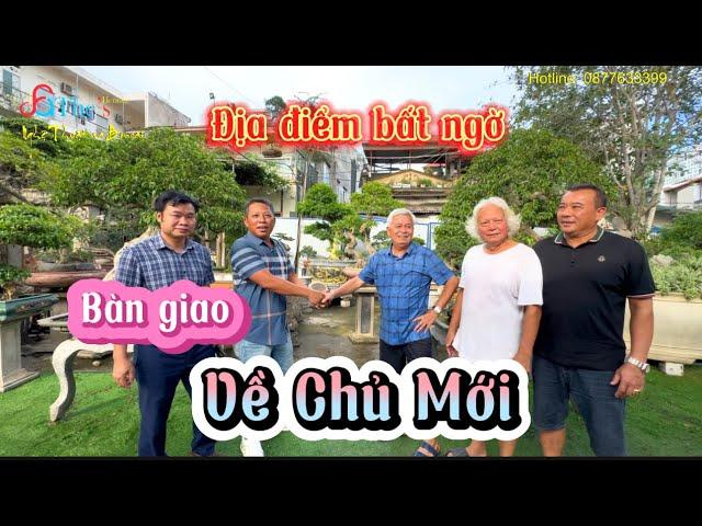 Thực hư câu chuyện Ông Thọ chưa kịp đưa cây về đã giao dịch và đặt Tác phẩm ở vị trí không ai ngờ