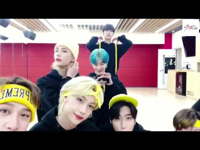 [Stray Kids] BEYOND LIVE PRACTICE Pt.3 [15Nov20]