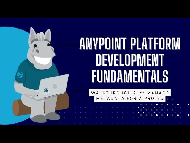 [Mulesoft] Anypoint Platform Development Fundamentals - Managed Metadata for a Project