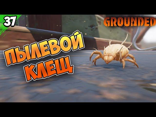 ПЫЛЕВОЙ КЛЕЩ #37 | Grounded | Граундед прохождение