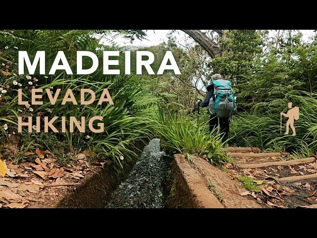 Madeira -  Levada hiking from campsite Ribeiro do Frio to Machico