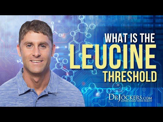 What Is The Leucine Threshold