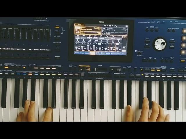 Modern Talking Style - Instrumental New Italo 80s Disco (Danekoo1 & Korg Pa5x Musicant ) 2025