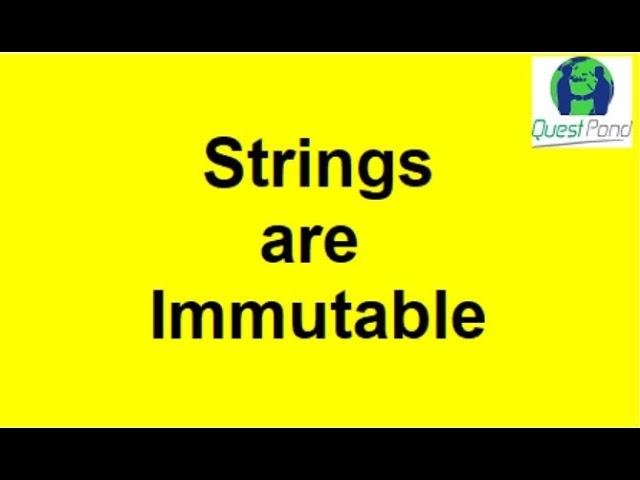 Strings are Immutable | C# Interview Questions | Csharp Interview Questions