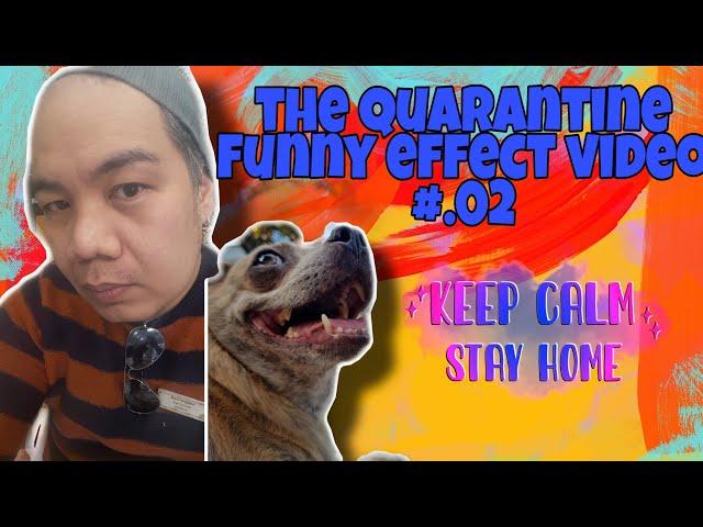 The Quarantine effect no.2 #keepsafe #vloguapps #videoshop #VivaVideo #Musical.ly #followme