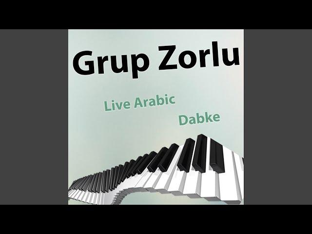 Live Arabic Dabke Vol. 13