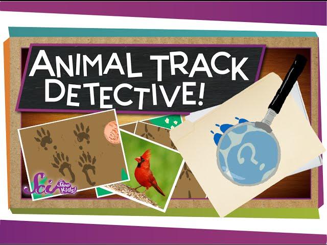 Animal Track Detective! | Science for Kids