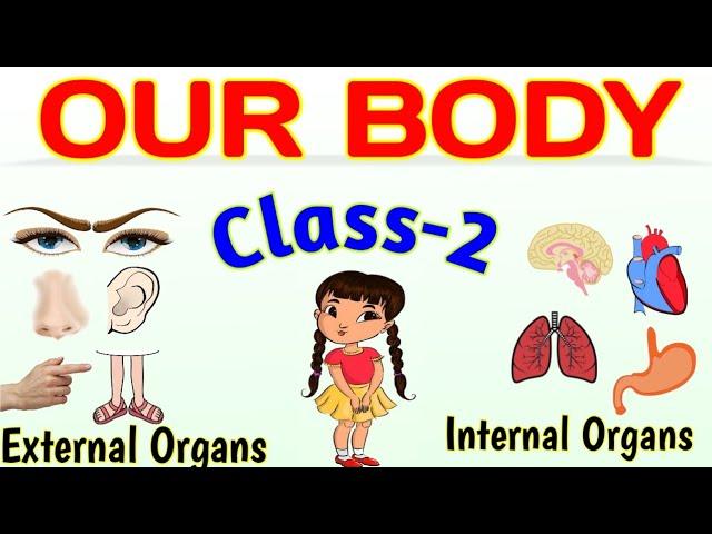 OUR BODY-CLASS 2 | External Organs, Internal Organs and Sense Organs | SCIENCE | EVS