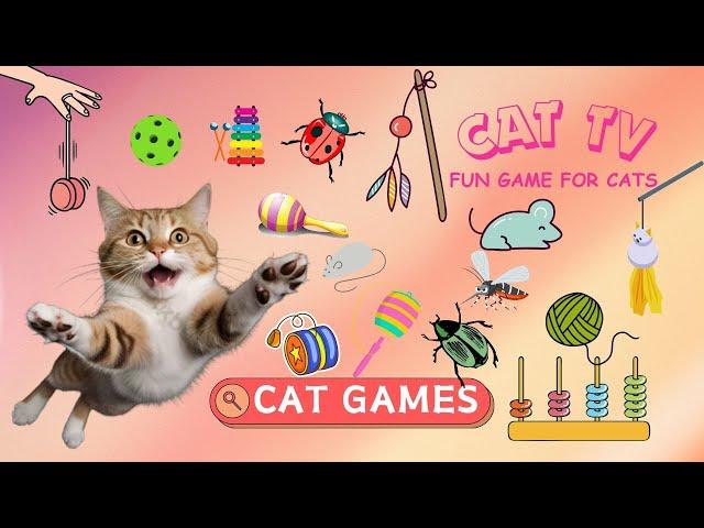 CAT GAMES | Where your cat loves | Collection of Interesting Games For Cats  11 HOURS 