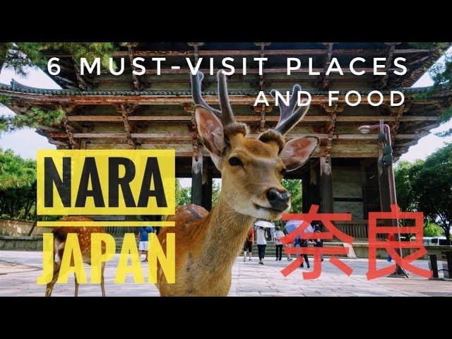 Nara, Japan: 6 Must-visit places & activities and food