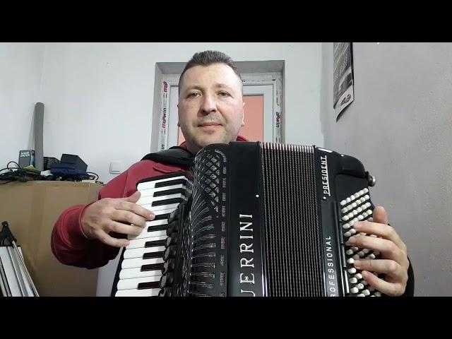 Dejan Ljubinkovic kako je lepo u mom kraju(uz harmoniku)