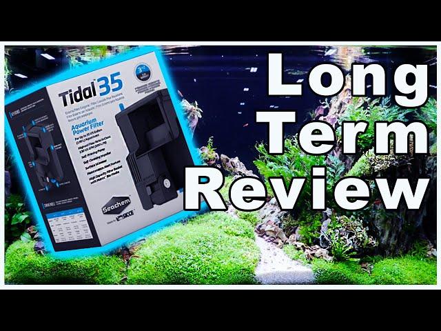 Seachem Tidal 35 Hang on Back Aquarium Filter: Long Term Review