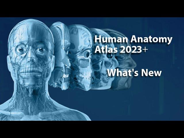 What's New in Human Anatomy Atlas 2023＋?