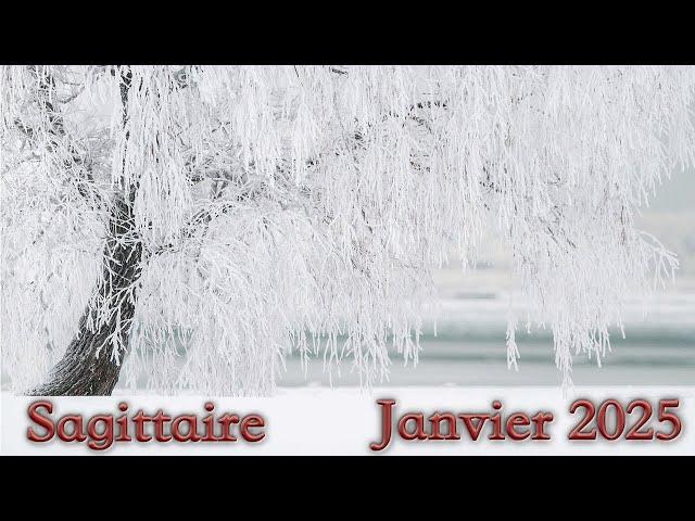 SAGITTAIRE - Janvier 2025 ~ Vous triomphez !