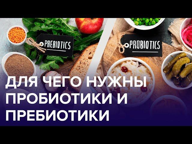 ПРОБИОТИКИ и ПРЕБИОТИКИ – в чём разница? | Доктор 24