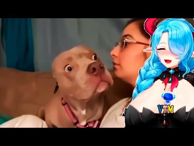 Milky Mommy React To Daily Dose Of Internet & UNUSUAL MEMES COMPILATION