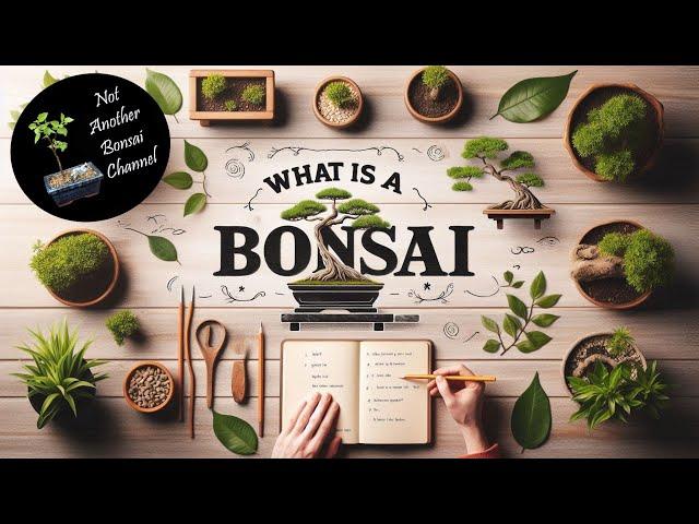 WHAT IS A BONSAI? The Biggest Bonsai Collaboration That You've Ever Seen!