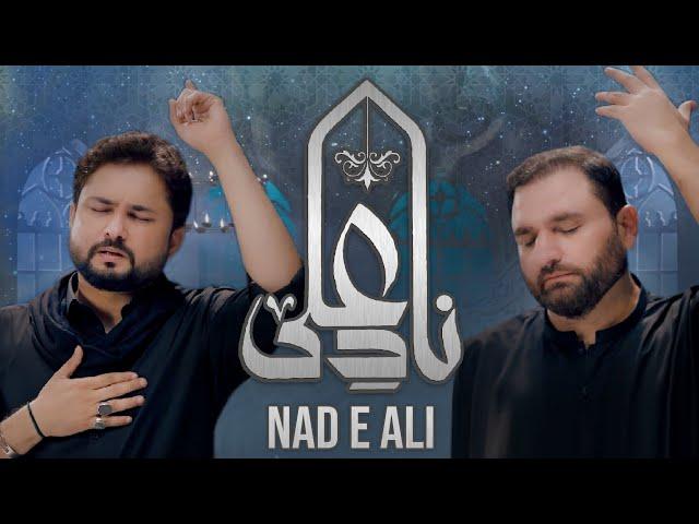 Nohay 2024 | Nad e Ali | Syed Raza Abbas Zaidi | Shahid Baltistani | Noha 2024 | Muharram 2024/1446