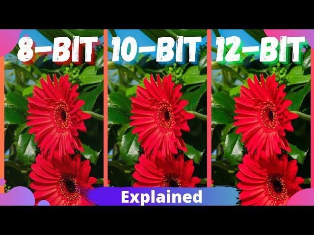 What is 10-Bit Color explained | 8-bit vs 10-bit vs 12-bit