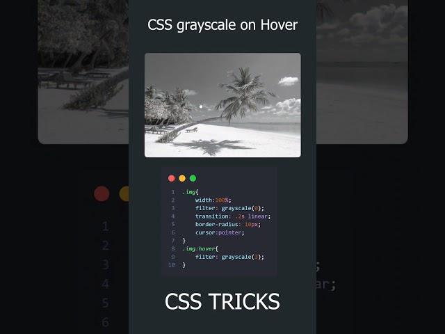 CSS grayscale filter on hover trick #css #shorts #learnhtmlandcss