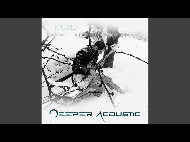 Numb (Acoustic)