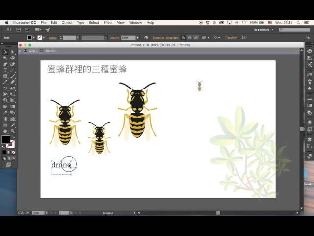 New Feature of Adobe Illustrator CC 2015 / INFOGRAPHIC