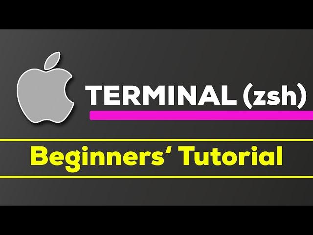 macOS Terminal (zsh) - The Beginners' Guide