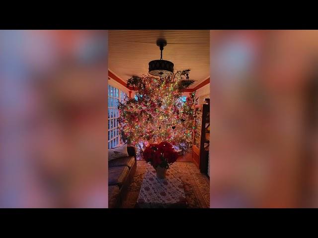 Christmas Tree Illusion in Connecticut Wows in Viral Video