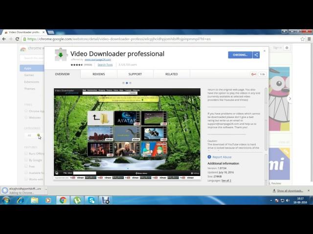 best chrome video downloader, Video Downloader professional