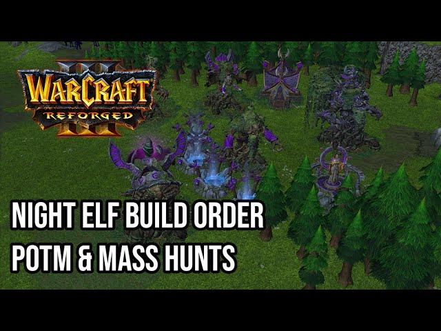 Warcraft 3 Build Orders: Night Elf PotM &  Mass Hunts